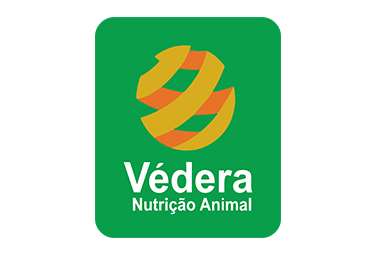 Vedera