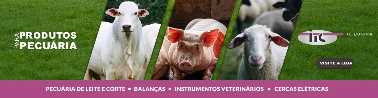 Equipamentos Veterinários