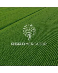 Triclopyr Stockton 480 EC - HERBICIDA