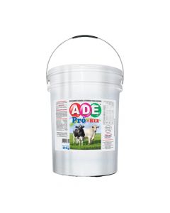 Suplemento A.D.E PRO B12 20Kg Alivet