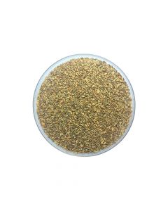 Semente Incrustada de Brachiaria Massai 10Kg Duvalle