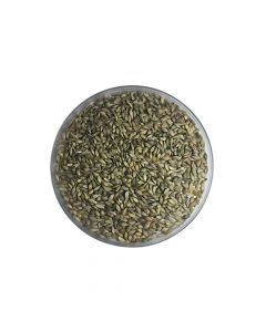 Semente Incrustada De Brachiaria Decumbens 10kg Duvalle 
