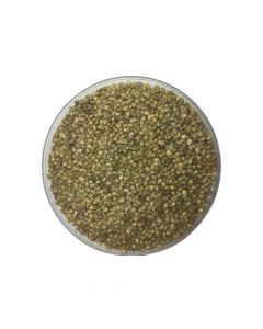 Sementes de Grama Batatais - 10kg