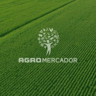 Roundup Original DI - HERBICIDA