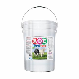 Suplemento A.D.E PRO  B12 20Kg Alivet