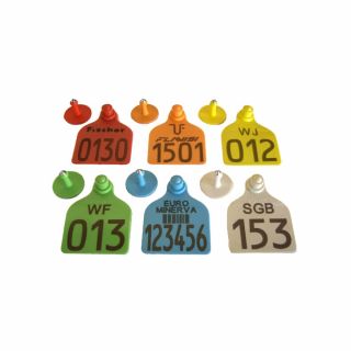 Brinco de Identificação Animal Grande - Kit com 50 Un