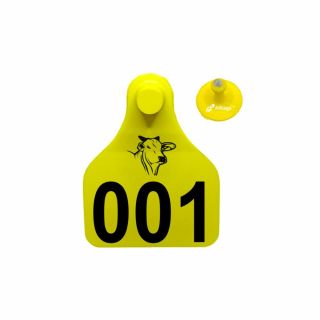 BRINCO GRANDE PERSONALIZADO IDENTIFICAÇÃO ANIMAL ALLTAGS - 50 UNIDADES