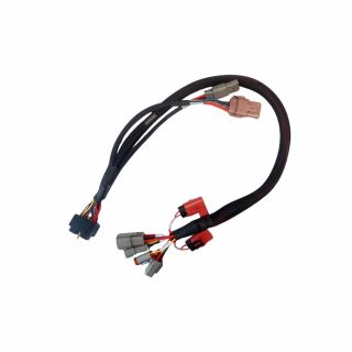 Cabo para Módulo RSCM Nacional