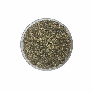 Semente Incrustada de Brachiaria Decumbens - 20 Kg Duvalle