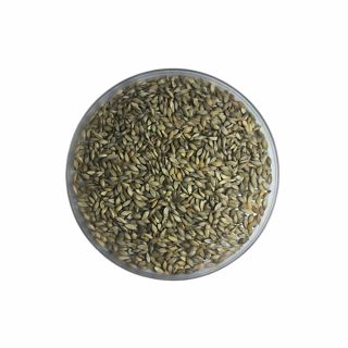 Semente Incrustada de Brachiaria RUZIZIENSIS 10kg Duvalle