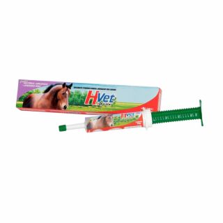 H-VET Pasta 34g - Suplemento Vitamínico Mineral para Animais - Alivet