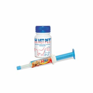 H-VET PET 14g (Seringa) - Vitamínico para Cães e Gatos - Alivet