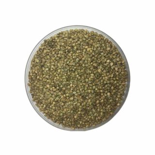 Sementes de Grama Batatais - 10kg